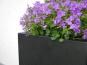 Blumenkübel MEGA der BUNDESGARTENSCHAU, schwarz 70x70x70